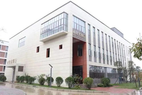 南阳市二全初中 食堂食品安全工作纪实