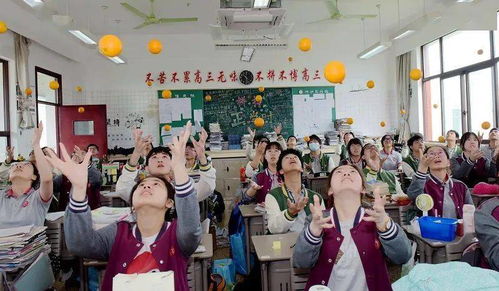 马到 橙 功,高考 糕粽 曙光中学2021届高三年级送祝福活动