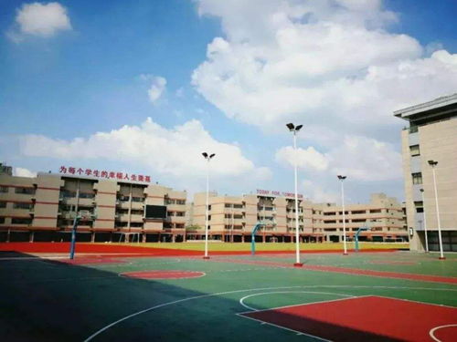 教育局发文 绿岛湖再添名校 定名为佛山实验中学附属学校