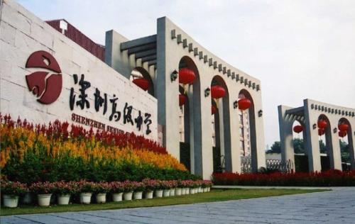 深圳市 赫赫有名 的4所高中,深圳中学无对手,堪称清北后援团