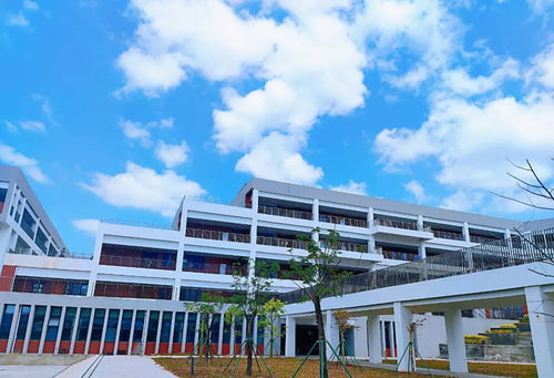 海南中学美伦 府城校区啥区别 校长来解答