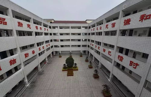 一个高五复读生的高考励志故事 心若在,梦就在,大不了是从头再来