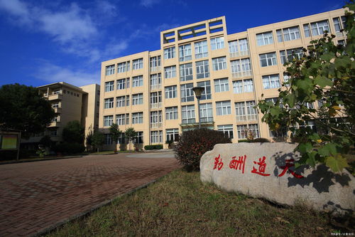 孩子成绩中等,我应该让他上重点中学吗